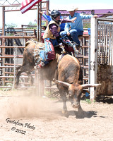 8 WYO-CO Rodeo - Cheyenne WY July 9