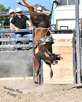 5 Futurity - Brush, CO - July 28,29